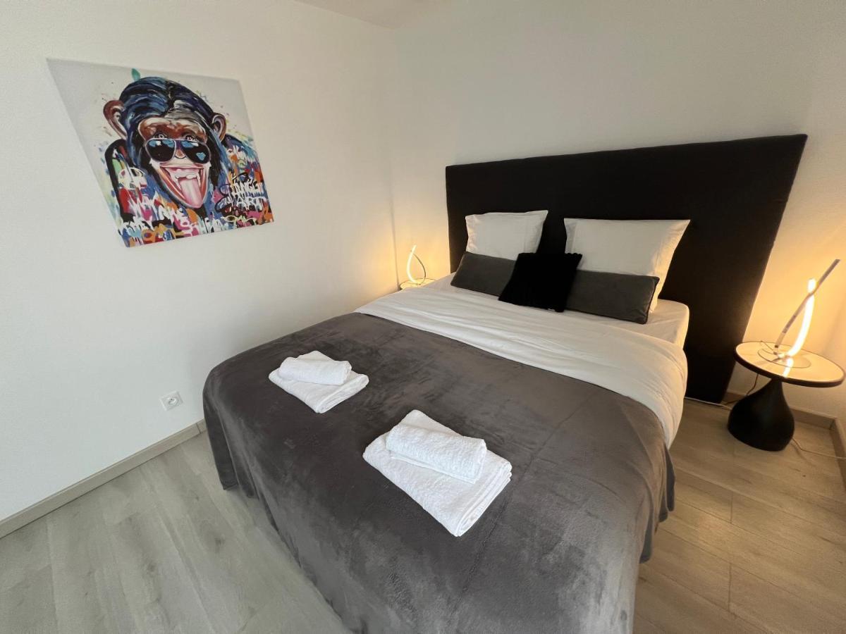 Le Cannois, Appartement De Star 3 Chambres Мюлуз Екстер'єр фото