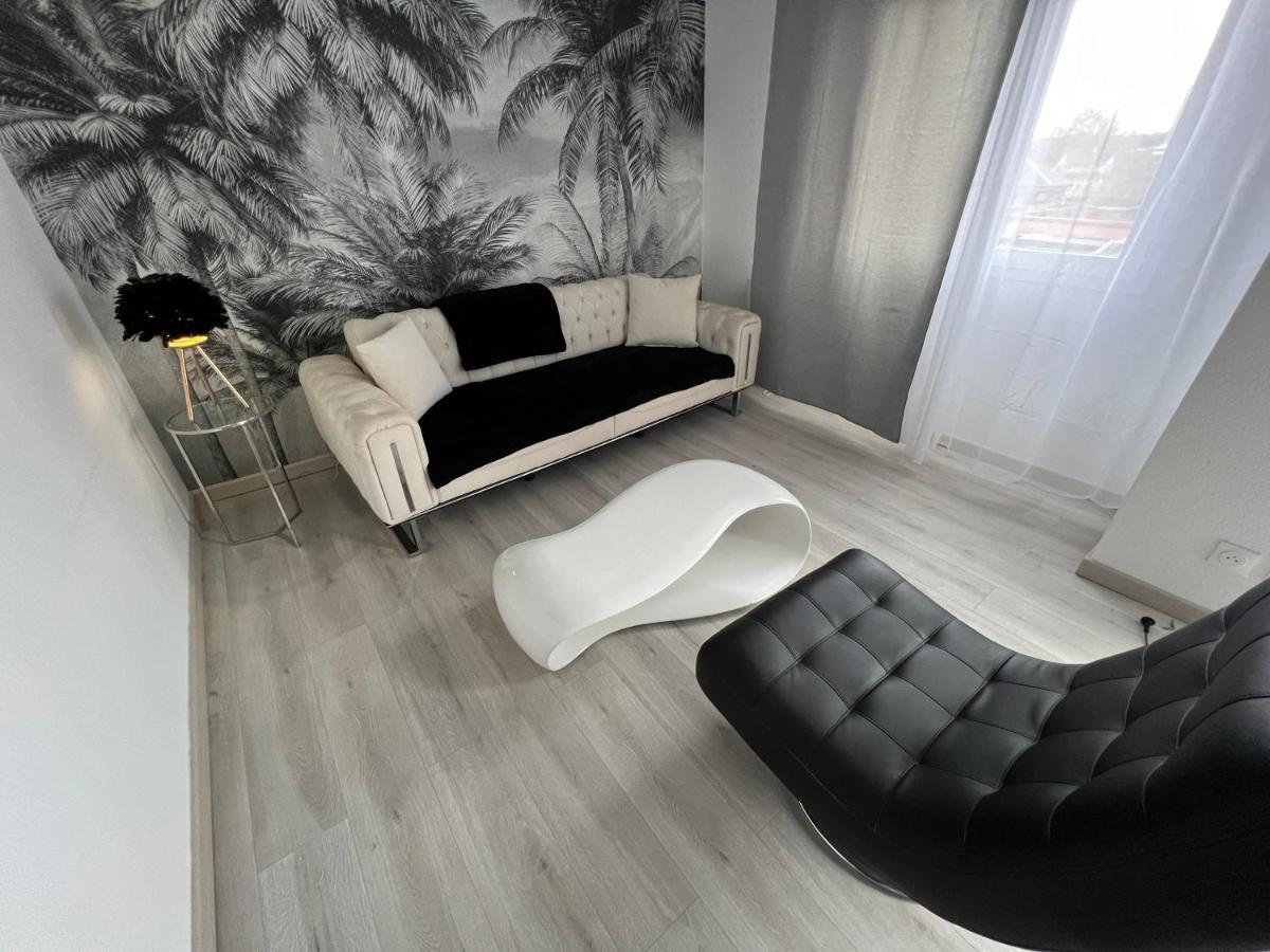 Le Cannois, Appartement De Star 3 Chambres Мюлуз Екстер'єр фото
