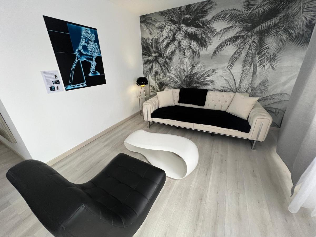 Le Cannois, Appartement De Star 3 Chambres Мюлуз Екстер'єр фото